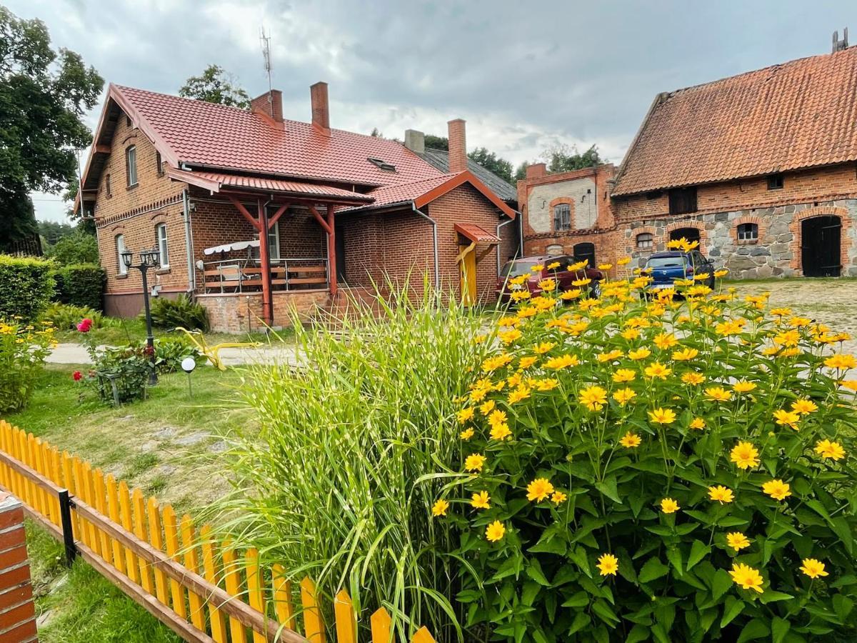Agroturystyka Szerokopas 尼济察 外观 照片