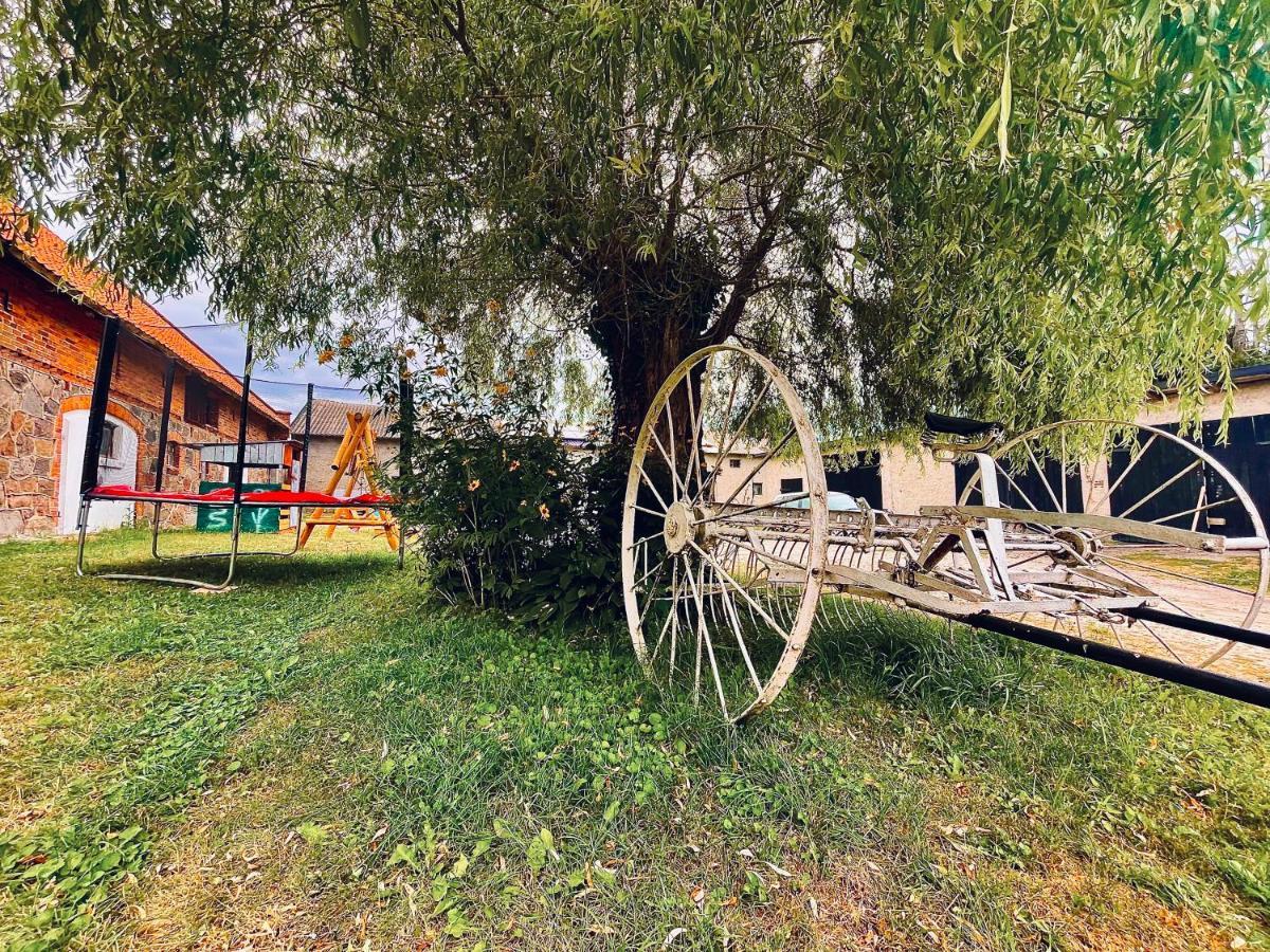 Agroturystyka Szerokopas 尼济察 外观 照片